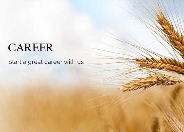 Post Vacancy Illustration