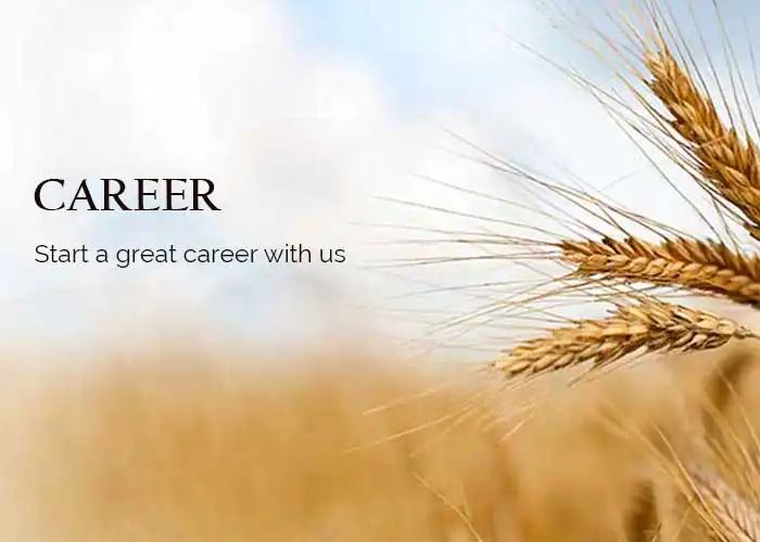 Apply Job Illustration